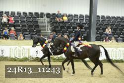 24R13_11243 thumbnail