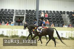 24R13_11244 thumbnail