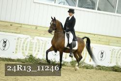 24R13_11246 thumbnail
