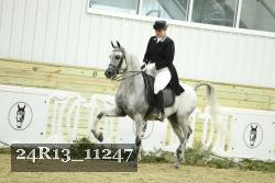 24R13_11247 thumbnail