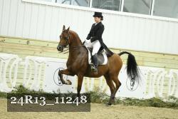 24R13_11248 thumbnail