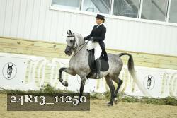 24R13_11250 thumbnail