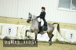 24R13_11251 thumbnail