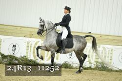24R13_11252 thumbnail