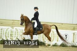 24R13_11254 thumbnail