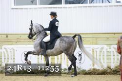 24R13_11255 thumbnail
