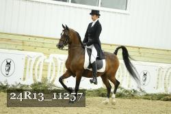24R13_11257 thumbnail