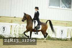 24R13_11260 thumbnail