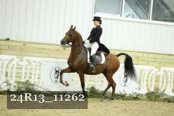 24R13_11262 thumbnail