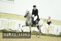 24R13_11263 thumbnail