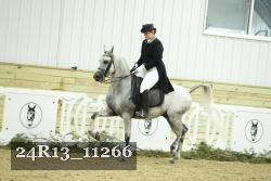 24R13_11266 thumbnail