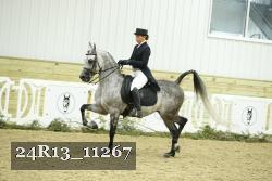24R13_11267 thumbnail