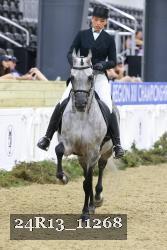 24R13_11268 thumbnail