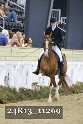 24R13_11269 thumbnail