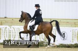 24R13_11276 thumbnail
