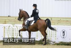 24R13_11277 thumbnail