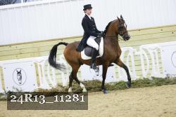 24R13_11281 thumbnail