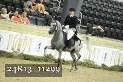 24R13_11299 thumbnail