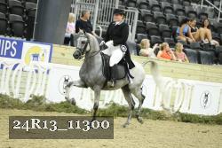 24R13_11300 thumbnail