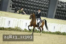 24R13_11303 thumbnail