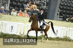 24R13_11304 thumbnail