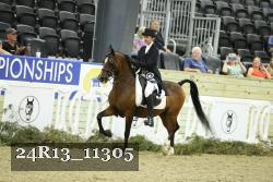 24R13_11305 thumbnail