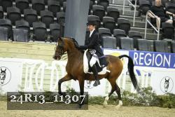 24R13_11307 thumbnail