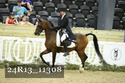 24R13_11308 thumbnail