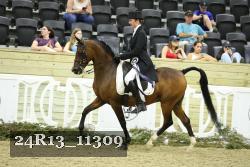 24R13_11309 thumbnail