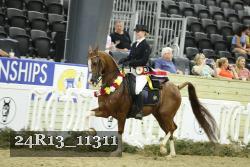 24R13_11311 thumbnail