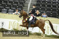 24R13_11315 thumbnail