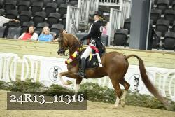 24R13_11316 thumbnail