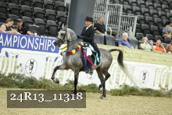 24R13_11318 thumbnail