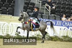 24R13_11320 thumbnail