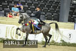 24R13_11321 thumbnail
