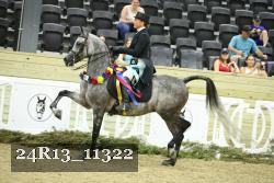 24R13_11322 thumbnail