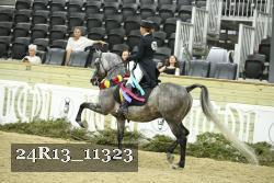 24R13_11323 thumbnail