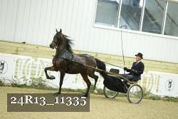 24R13_11335 thumbnail