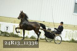 24R13_11336 thumbnail
