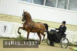 24R13_11337 thumbnail