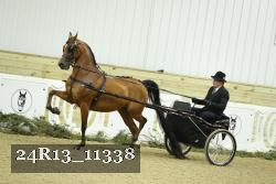 24R13_11338 thumbnail