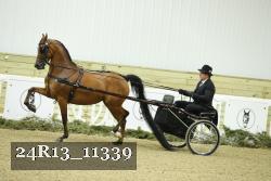 24R13_11339 thumbnail