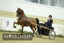 24R13_11340 thumbnail