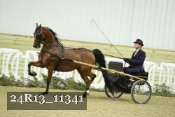 24R13_11341 thumbnail
