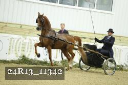 24R13_11342 thumbnail