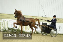 24R13_11343 thumbnail