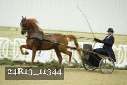 24R13_11344 thumbnail
