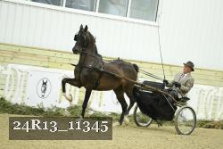 24R13_11345 thumbnail