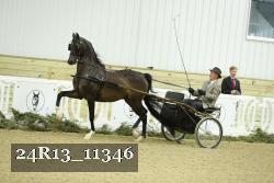 24R13_11346 thumbnail