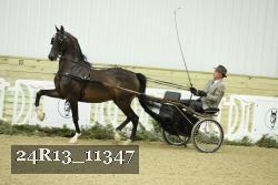 24R13_11347 thumbnail